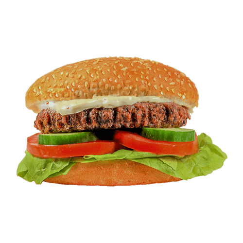 Big Burger Basic