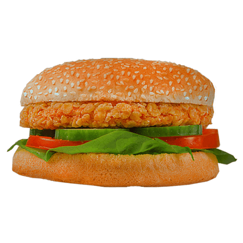 Chicken Burger Basic