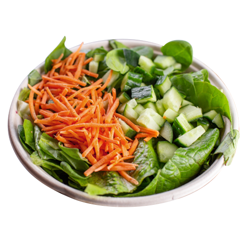 Basic Salat
