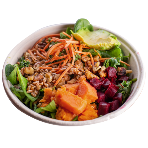 Harvest Salat