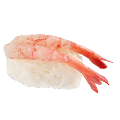 Nigiri Amaebi