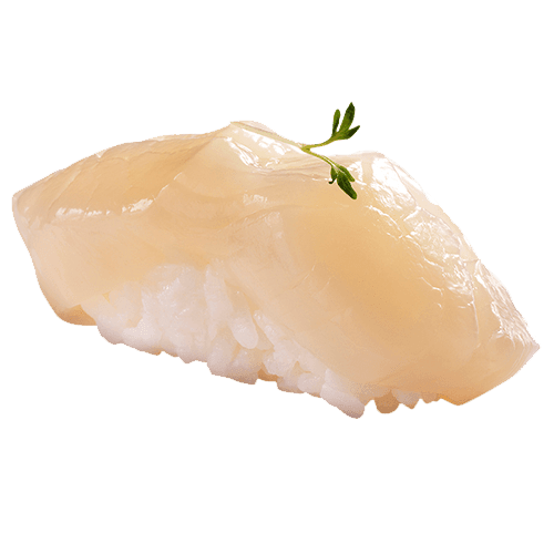 Nigiri Hotate
