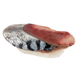 Makrele Nigiri
