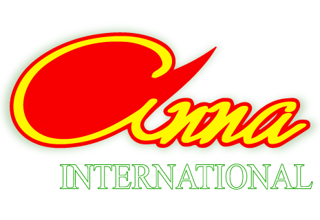 logo Anna International