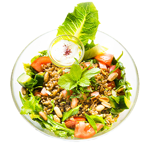 Freekeh Salad