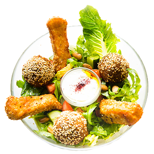 Halloumi Falafel Salad (vegetarian)