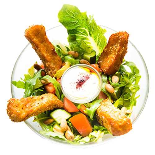 Halloumi Salad (vegetarian)