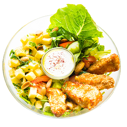Coriander Halloumi Bowl vegetarian)