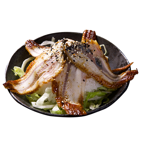 Unagi-Don