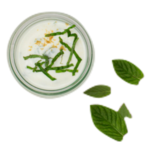 Joghurt-Minz Dip