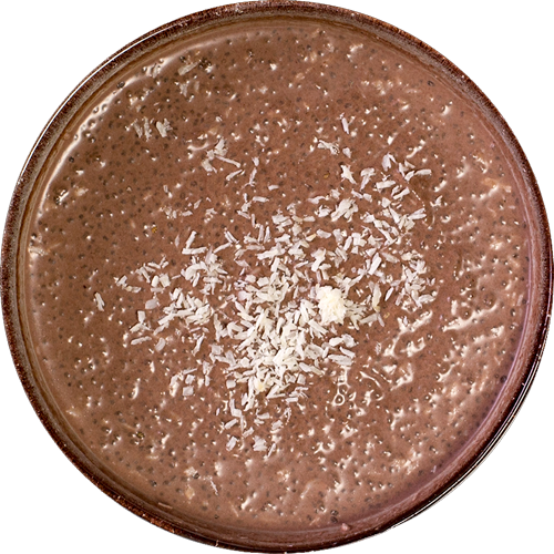 Chia Schokoladen-Pudding (vegan)