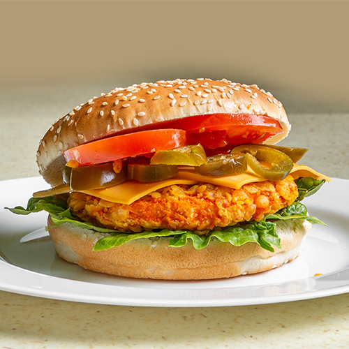 Spicy Crunchy Asia Burger
