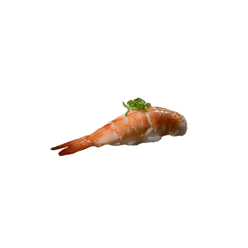 Ebi Nigiri