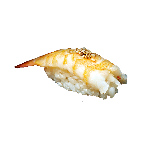 Ebi Nigiri