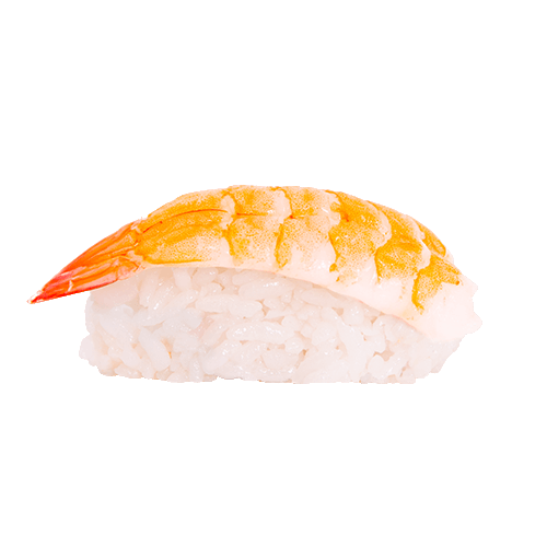 Ebi Nigiri