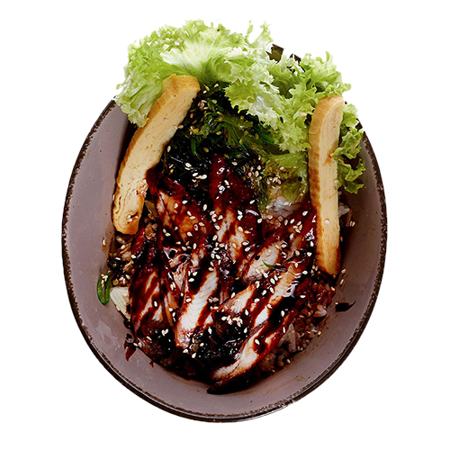 Unagi Don