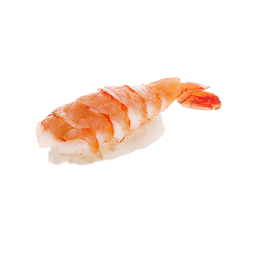 Ebi Nigiri