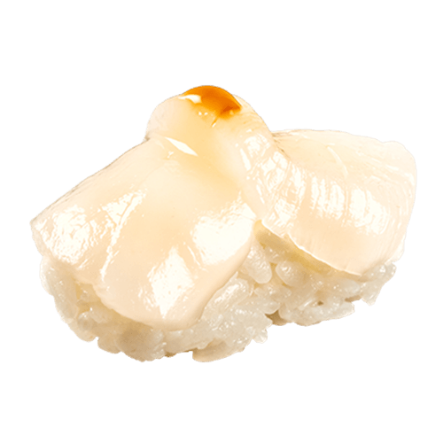 Hotategai Nigiri