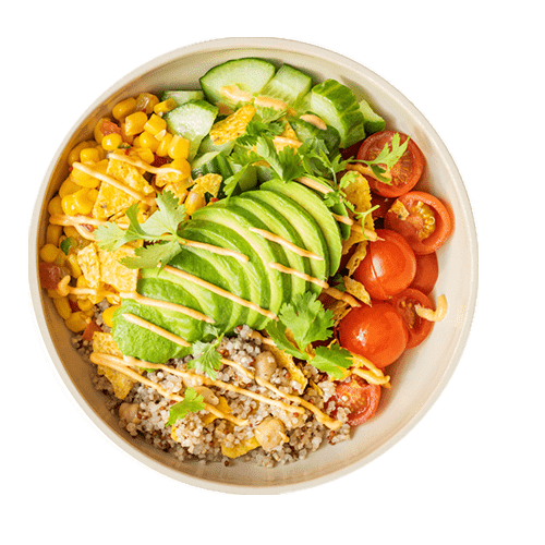 Avocado Burrito Bowl (vegan, laktosefrei)