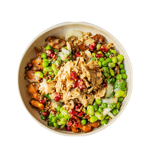 Crunchy Tofu Bowl (vegan, laktosefrei)