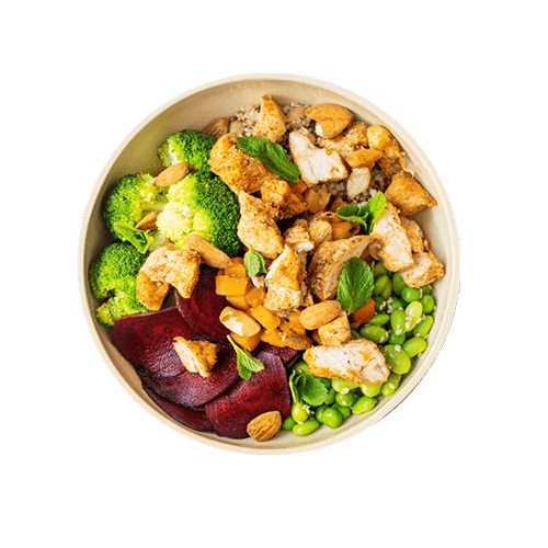 Protein Chicken Bowl