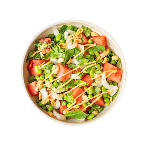 Thai Watermelon Salad (vegan, glutenfrei, laktosefrei)