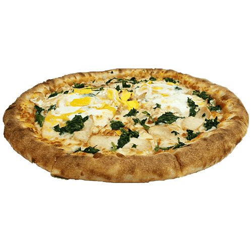 Protein Fitness Pizza
