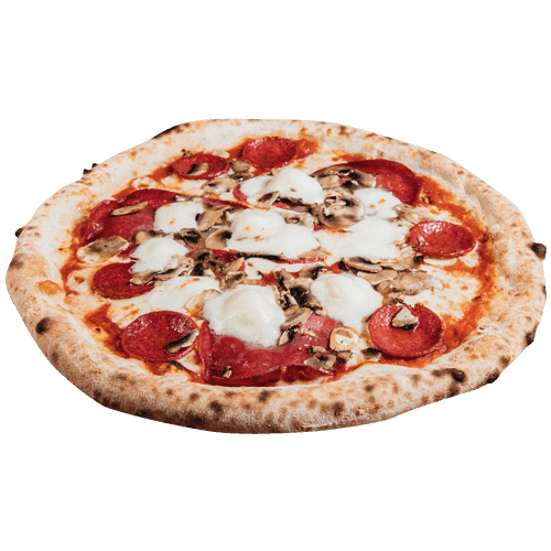 Pizza Speciale Delight