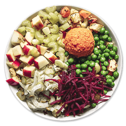 Fennel Carrot Bowl (vegan)