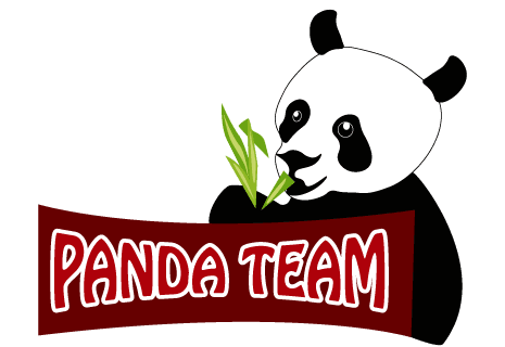 logo Panda-Team-Service