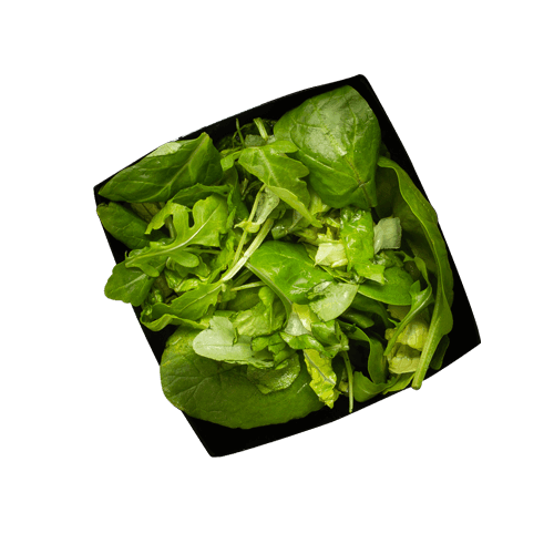 Lil Salad (vegan)