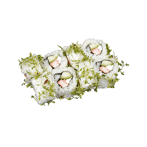 Rainbow Arctic Maki