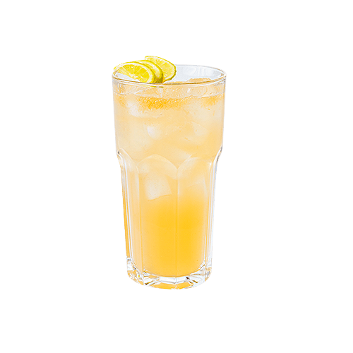 Pink-Grapefruit Limonade 0,5l