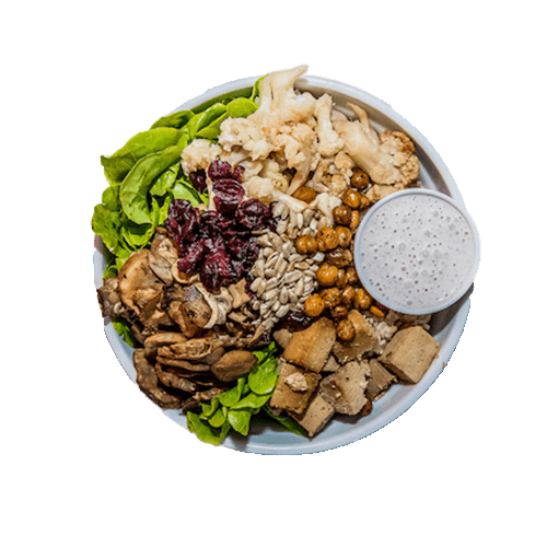 Truffle Mushrooms Bowl (vegan)