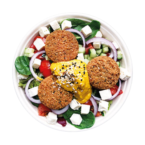 Wild Karachi Salat