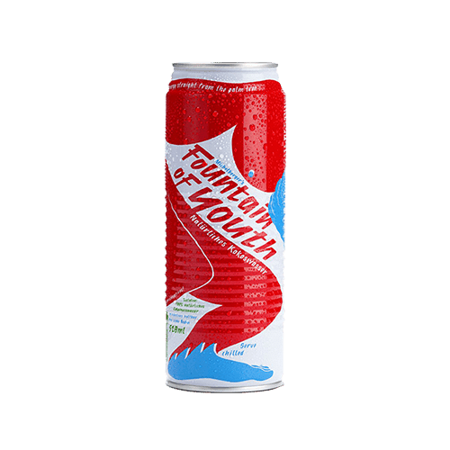 Fountain of Youth Kokoswasser (520ml)