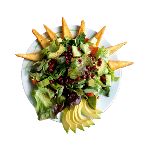 Avocado Halloumi Salat