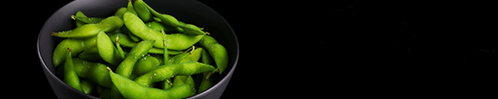 Vorspeisen und Salate