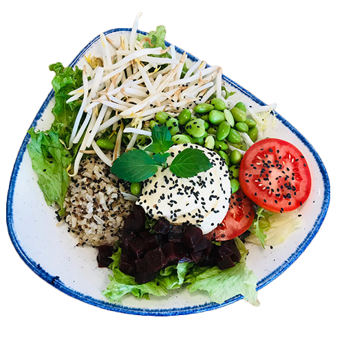 Yogi Bowl (vegan)