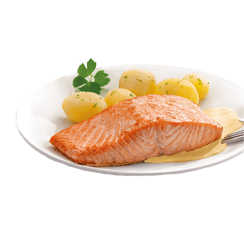 Lachsfilet auf der Haut gebraten