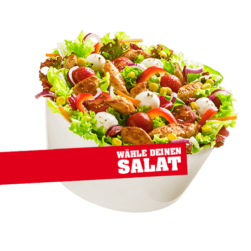 Mittag Salat nach Wahl normal