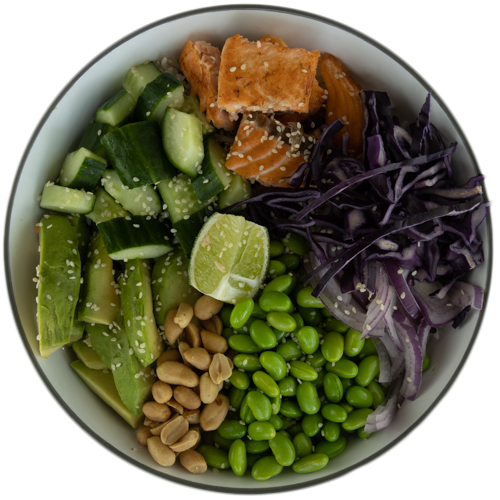 Japanese Salmon Bowl