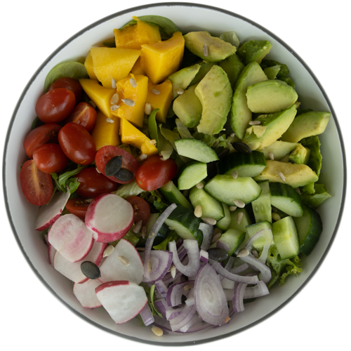 Avocado Mango Salat