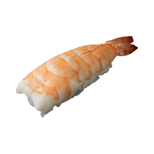 Nigiri Prawn