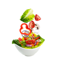 Salat Grüner Garten