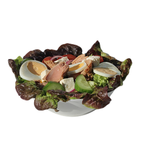 Spezial Salat