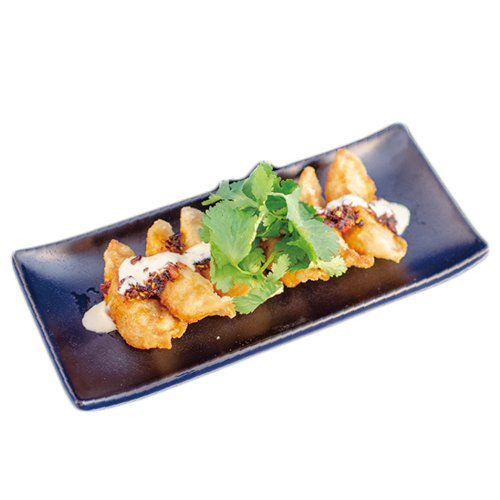 Spicy Gyoza