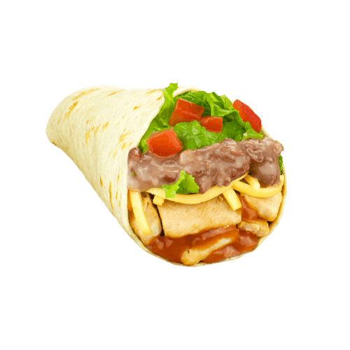 Salsa Burrito