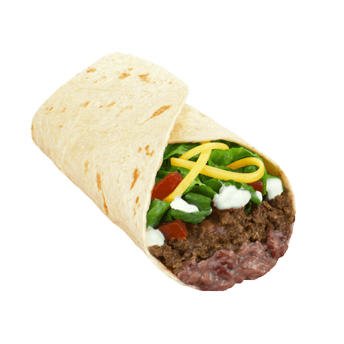 Special Burrito