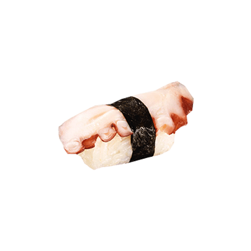 Tako Nigiri